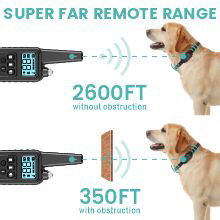 Dog Shock Collar