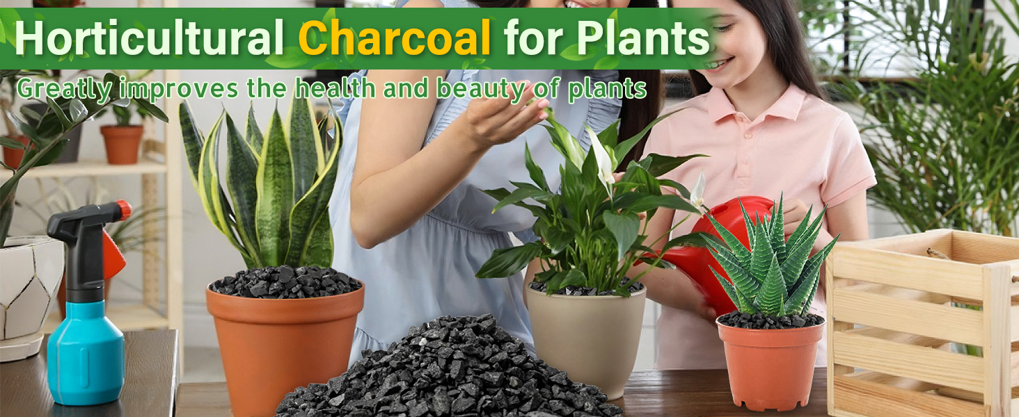 charcoal for plants