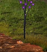 Lighted Halloween Tree Branch