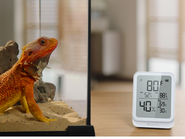 Reptile Room