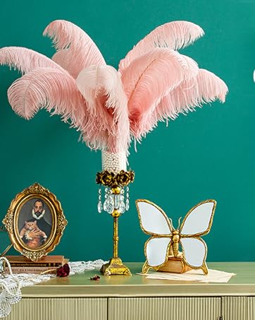 iHUFeather Ostrich Feathers