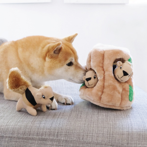 A dog sniff and hunts for food in its Outward Hound Fun Feeder Slo Bowl.