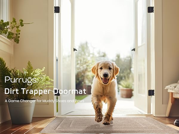 Entryway Rug