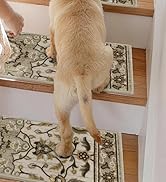 Stair Treads for Wooden Steps