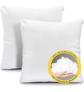 Fixwal Throw Pillow Inserts Set of 2 - 18 x 18 Inches Insert White Pillow Forms Soft Microfiber F...