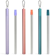 Sursip Portable Water Filter Straw Reusable Stainless Steel Outdoor Emergency Survival Gear for C...