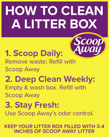 how to clean a litter box