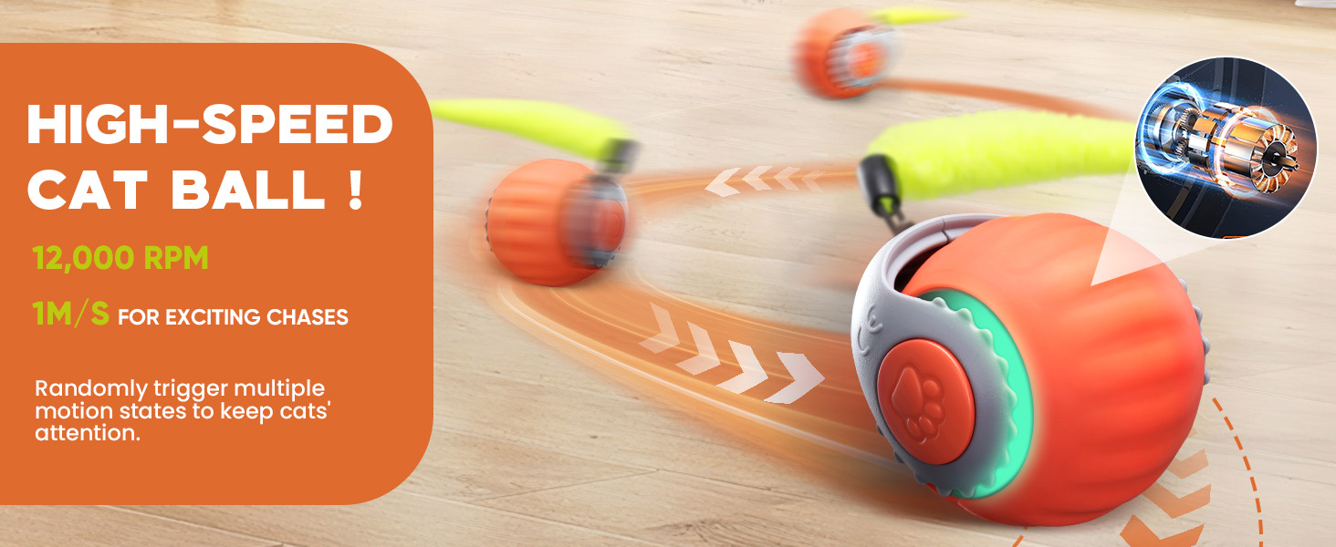 cat toy ball