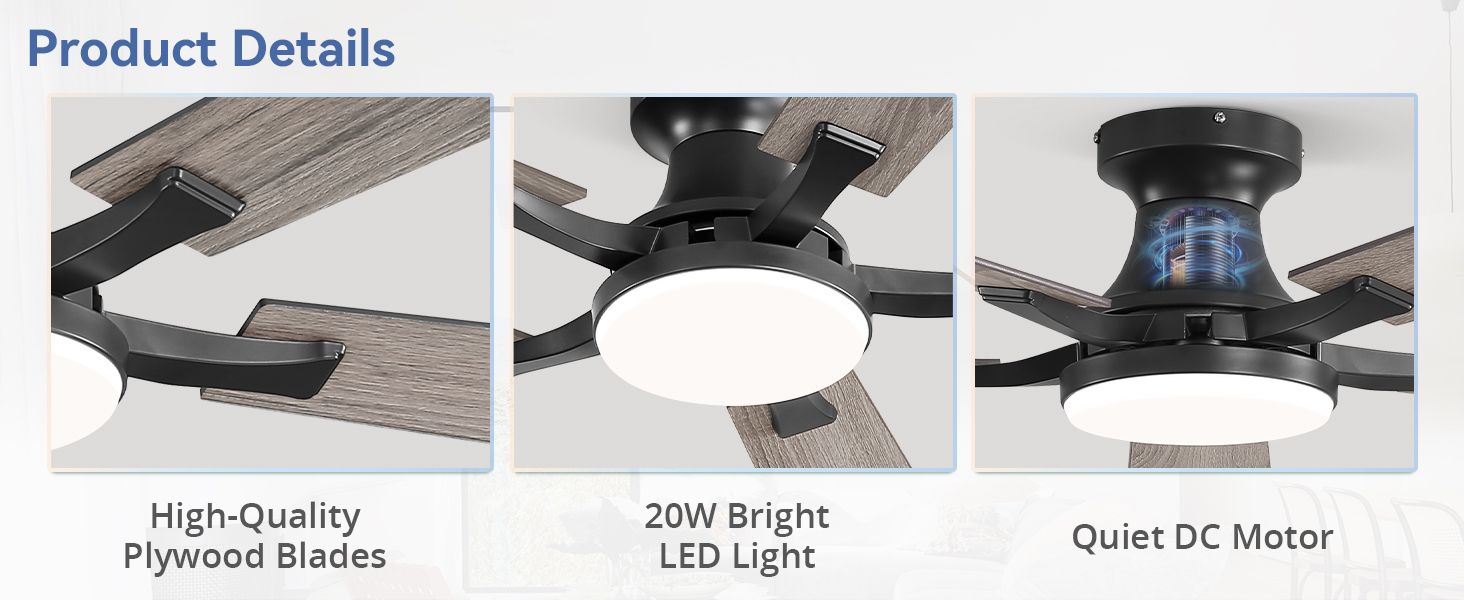 ceiling fan