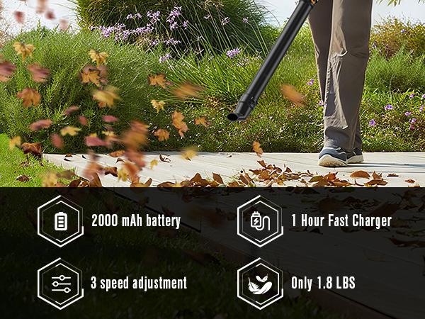 leaf blower cordless with battery and charger