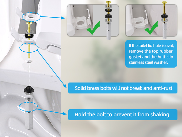 toilet seat bolts