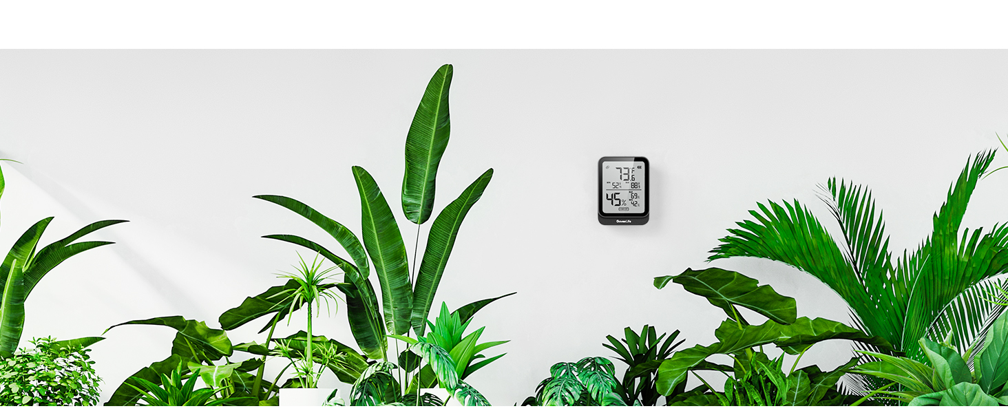 Plants
