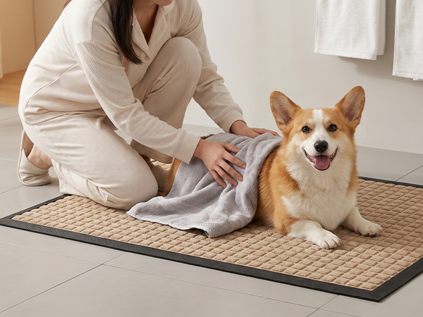 under pet bowls bathroom