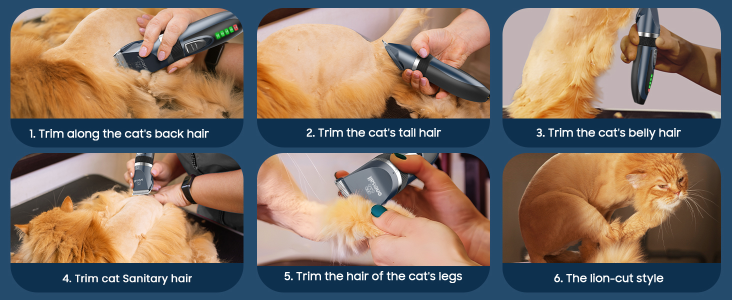 cat clippers