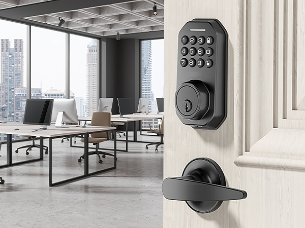 keyless entry door lock