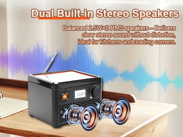 Dual Built-in Stereo Speakers