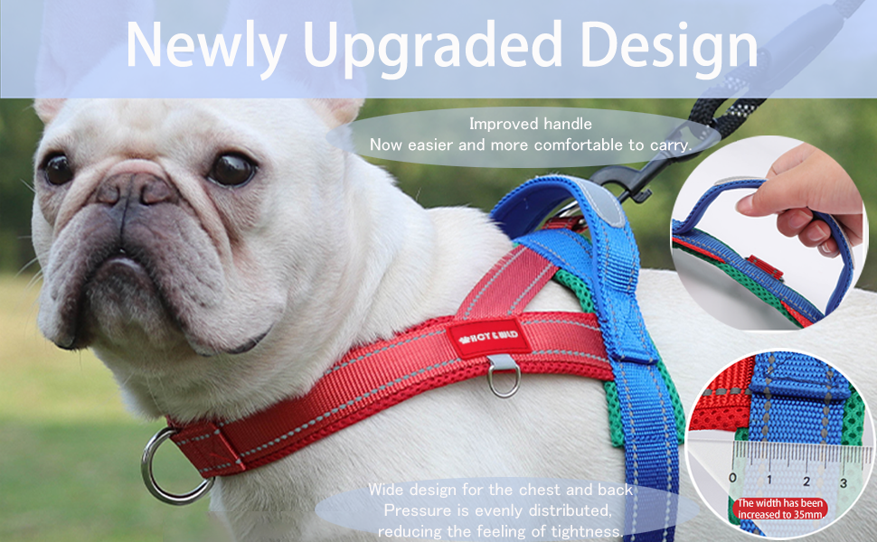 Dog Harness