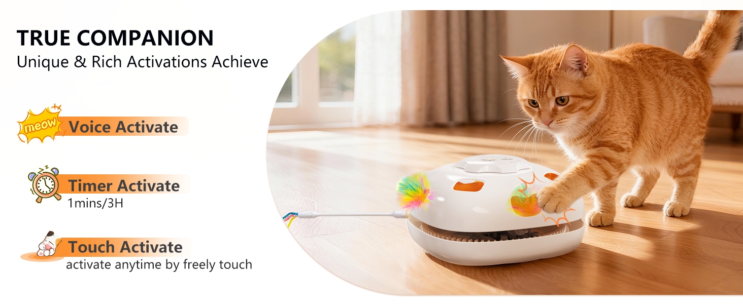 Interactive cat toy