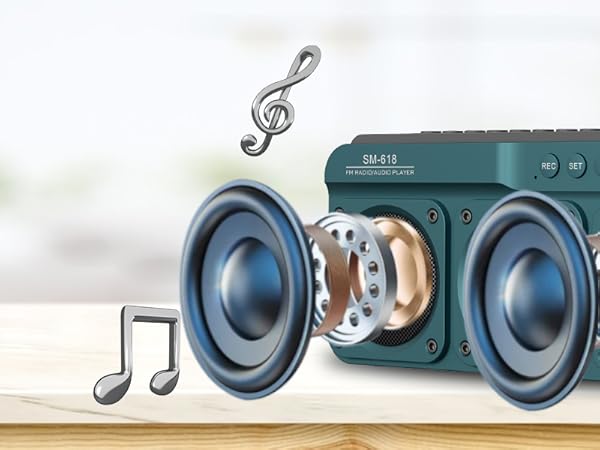 FM Bluetooth Speaker