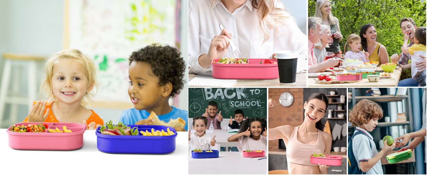 school lunchbox kid
