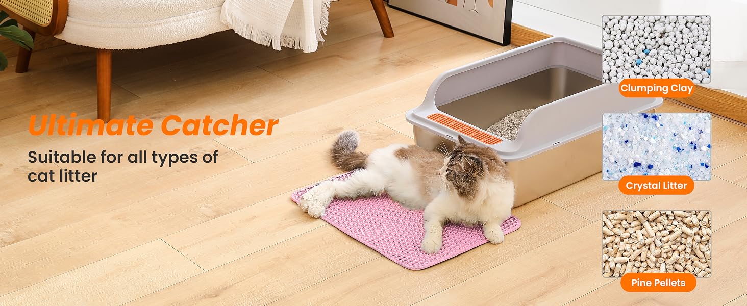 cat litter box