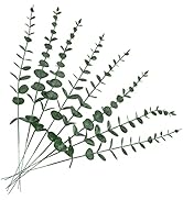 8 Pcs Eucalyptus Stems Ruidazon Artificial Eucalyptus Fake Eucalyptus with Leaves for Flowers Arr...