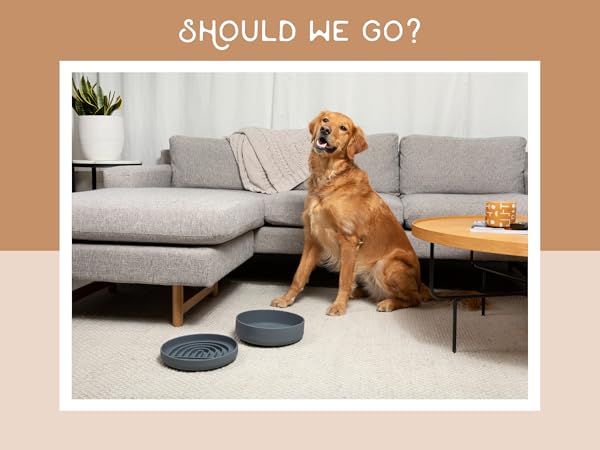 weighted pet non slip coldest size big puppy feeding cats cute platos perros plate plastic spilling
