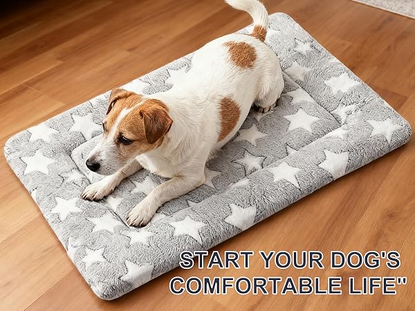 dog bed mat