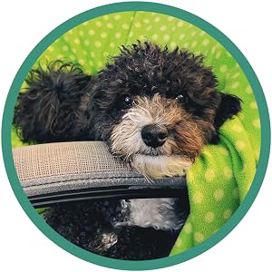Murphy Millie Mop