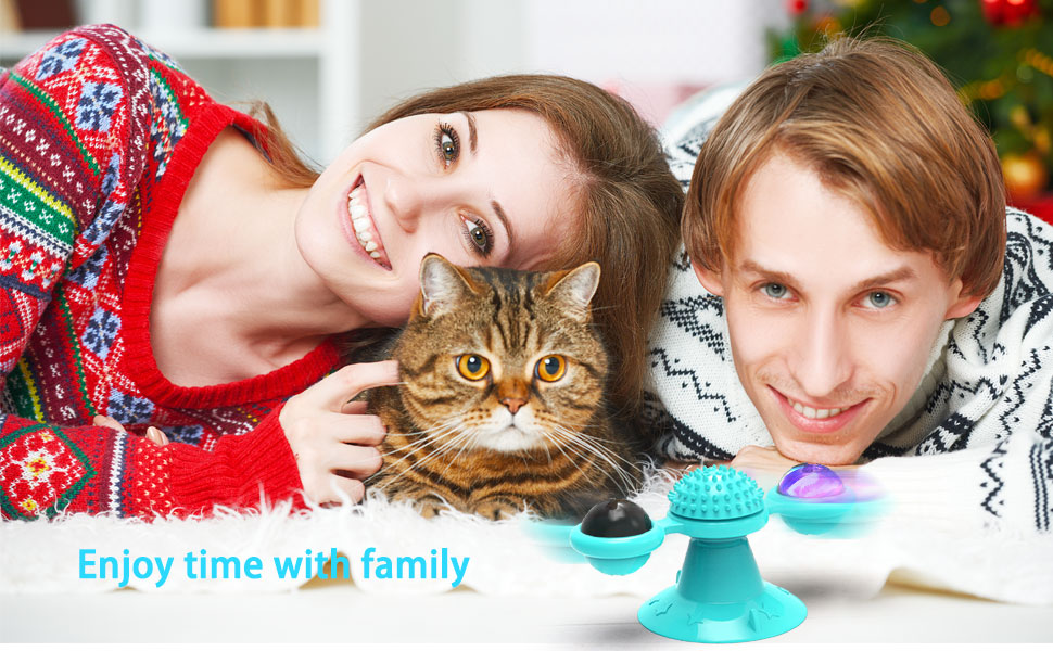 cat toys