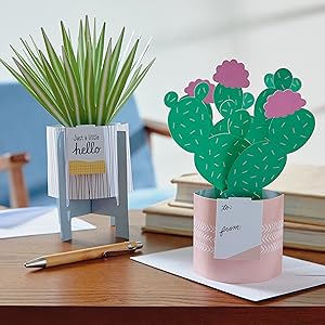 Pop-up plant cards for sympathy, encouragement, congratulations and birthday
