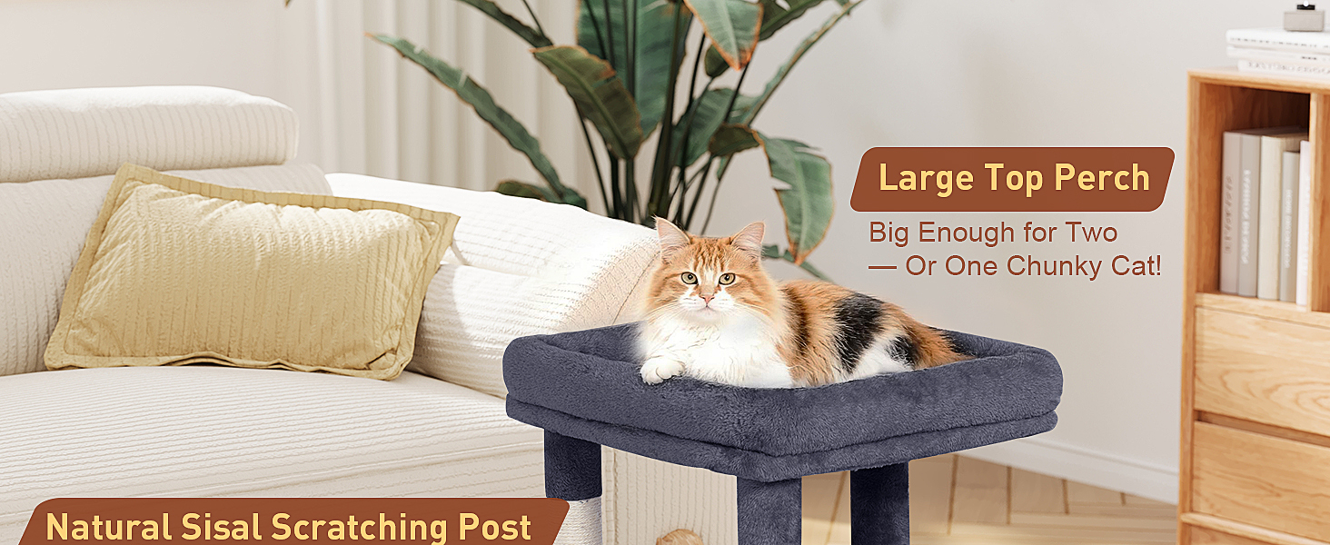 cat tree for large cats