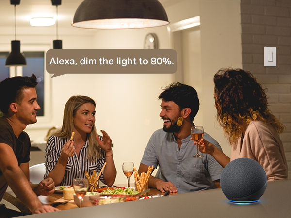 smart dimmer switch works with Alexa