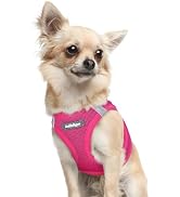 rabbitgoo Small Dog Harness, Step-in Soft Mesh Puppy Vest, Easy Walk with Safety Buckle, Breathab...