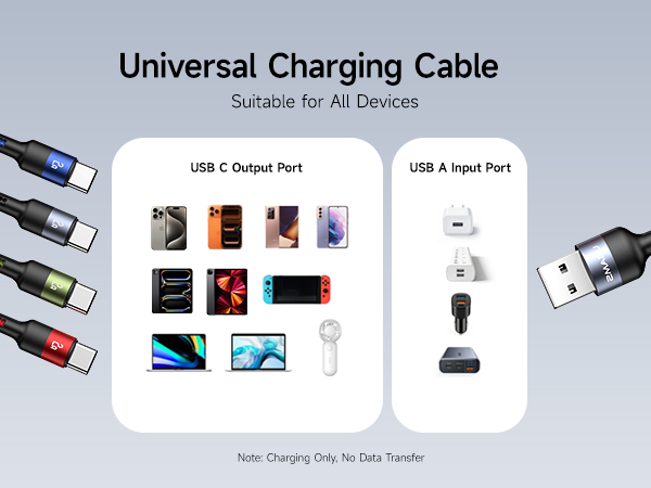 4 in 1 Multi Charging Cable