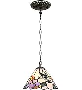 Bieye L11007 Hummingbird Flower Tiffany Style Stained Glass Ceiling Pendant Fixture with 8 Inch W...