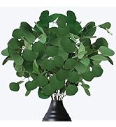 Preserved Dried Eucalyptus Stems, 15-20Pcs Pure Natural Real Silver Dollar Leaves for Vase Filler...
