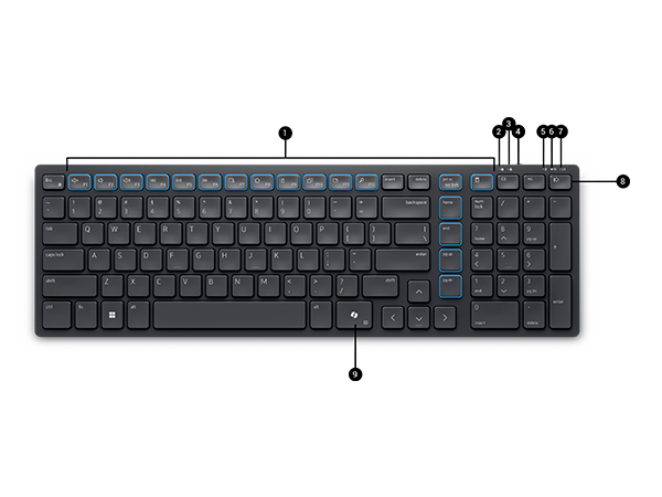 keyboard-and-mouse-km555-image-7-1464x600-b0dfmxbs7v-ports-&-slots.jpg