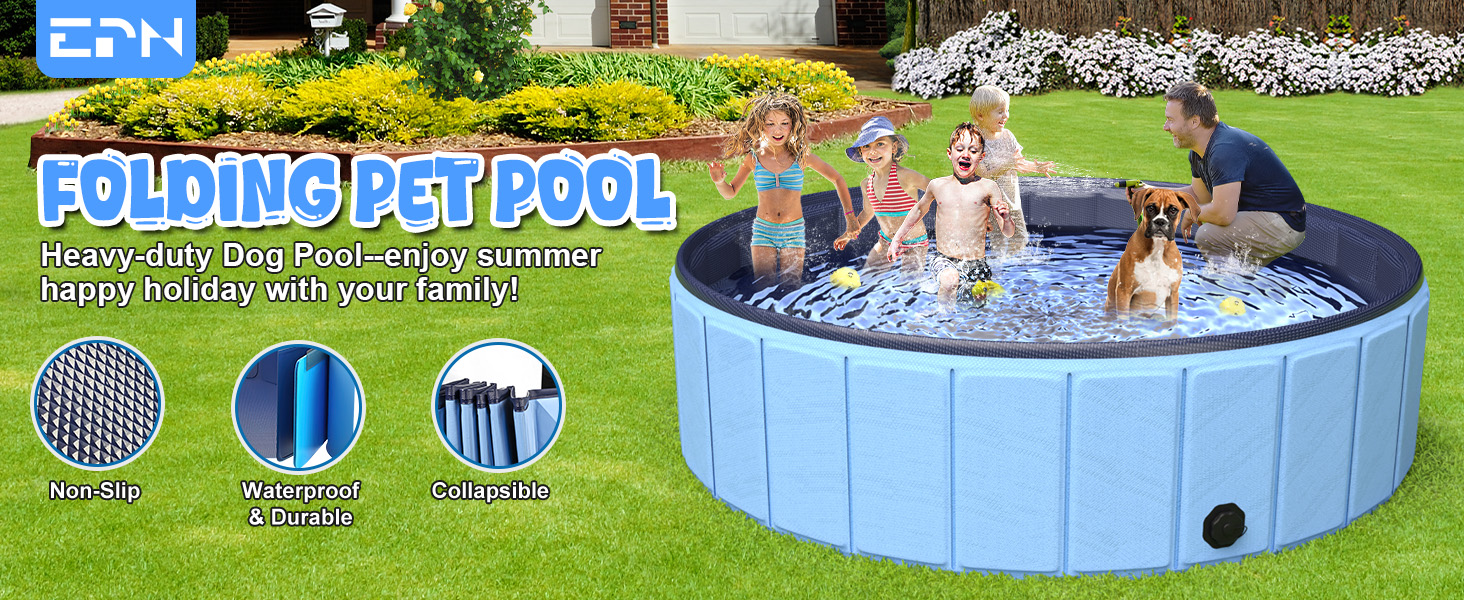 dog pool