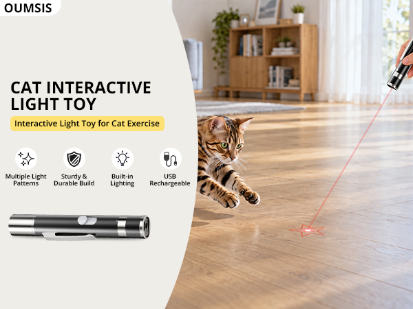 cat toys