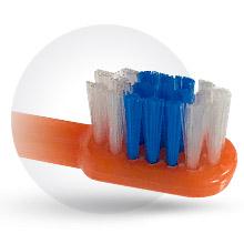 Kids Brushing Toothbrush Bristles