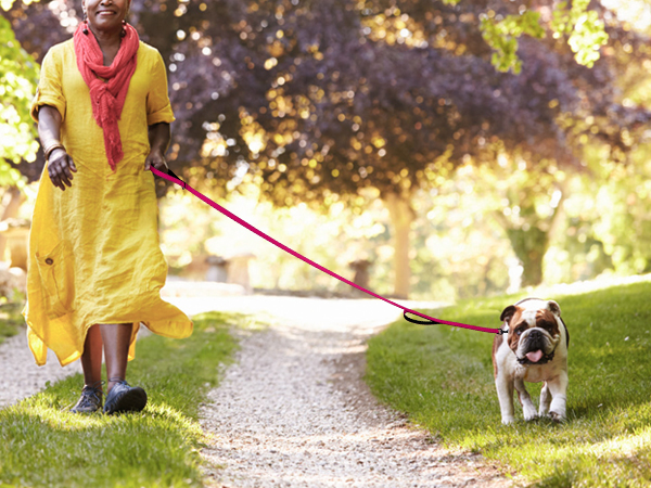 dog leash dual handles