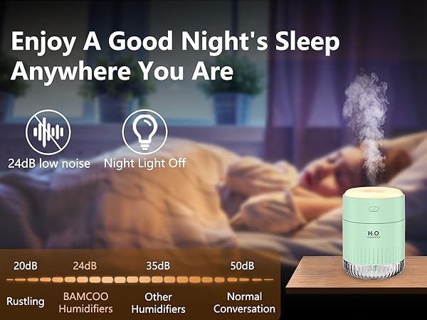 plant humidifier indoor