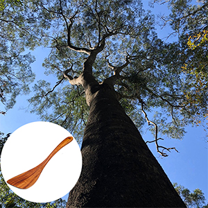 acacia wood