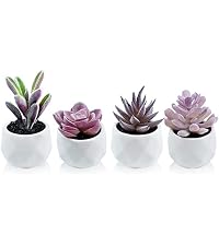 https://m.media-amazon.com/images/S/aplus-media-library-service-media/f025eb69-f947-4bb2-b382-a24f33c144ba.__AC_SR200,225___.jpg