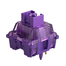 lavender purple