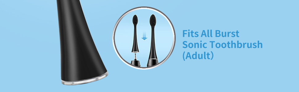burst electric toothbrush replacement heads