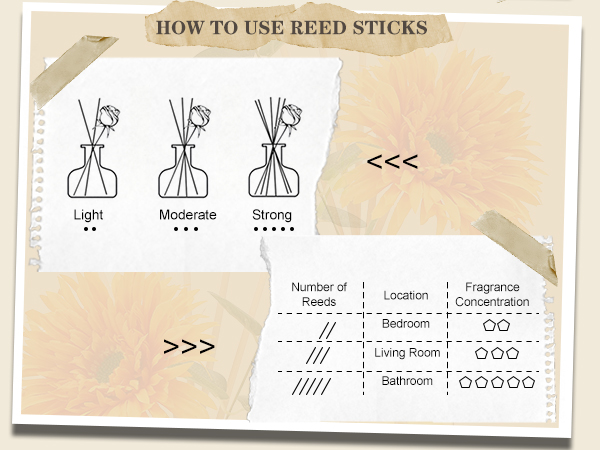 Reed Diffuser Set
