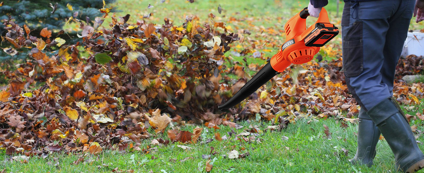 battery powered leaf blower with battery and charger