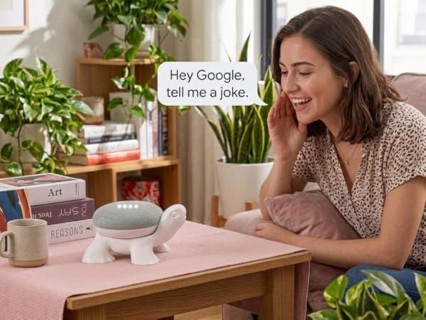google holder stand